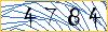 Type the numbers that you see in the picture