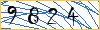 Type the numbers that you see in the picture