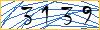 Type the numbers that you see in the picture