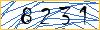 Type the numbers that you see in the picture
