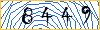 Type the numbers that you see in the picture