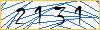 Type the numbers that you see in the picture
