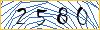 Type the numbers that you see in the picture