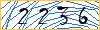 Type the numbers that you see in the picture