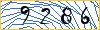 Type the numbers that you see in the picture
