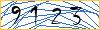 Type the numbers that you see in the picture