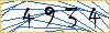 Type the numbers that you see in the picture