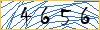Type the numbers that you see in the picture