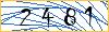 Type the numbers that you see in the picture