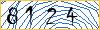 Type the numbers that you see in the picture