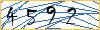 Type the numbers that you see in the picture