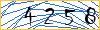 Type the numbers that you see in the picture