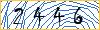 Type the numbers that you see in the picture