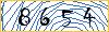 Type the numbers that you see in the picture
