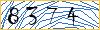 Type the numbers that you see in the picture