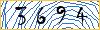 Type the numbers that you see in the picture