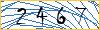 Type the numbers that you see in the picture