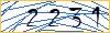 Type the numbers that you see in the picture