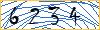 Type the numbers that you see in the picture