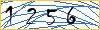 Type the numbers that you see in the picture