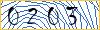 Type the numbers that you see in the picture