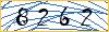 Type the numbers that you see in the picture
