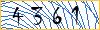 Type the numbers that you see in the picture