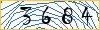 Type the numbers that you see in the picture