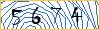 Type the numbers that you see in the picture