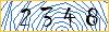 Type the numbers that you see in the picture