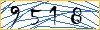 Type the numbers that you see in the picture