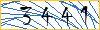 Type the numbers that you see in the picture
