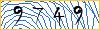 Type the numbers that you see in the picture