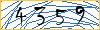 Type the numbers that you see in the picture