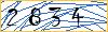 Type the numbers that you see in the picture