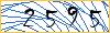 Type the numbers that you see in the picture