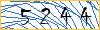 Type the numbers that you see in the picture