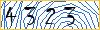 Type the numbers that you see in the picture