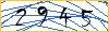 Type the numbers that you see in the picture