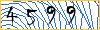 Type the numbers that you see in the picture