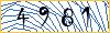 Type the numbers that you see in the picture
