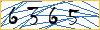 Type the numbers that you see in the picture