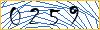Type the numbers that you see in the picture