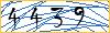 Type the numbers that you see in the picture