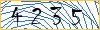 Type the numbers that you see in the picture