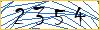 Type the numbers that you see in the picture