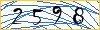 Type the numbers that you see in the picture