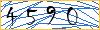 Type the numbers that you see in the picture