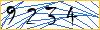 Type the numbers that you see in the picture