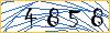 Type the numbers that you see in the picture